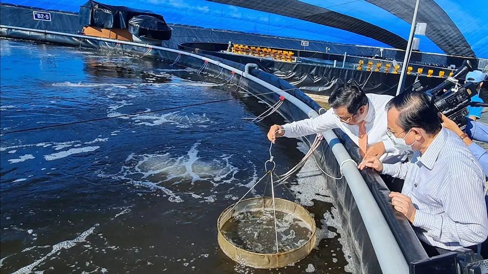 Bảo vệ môi trường trong các hoạt động thủy sản 2025